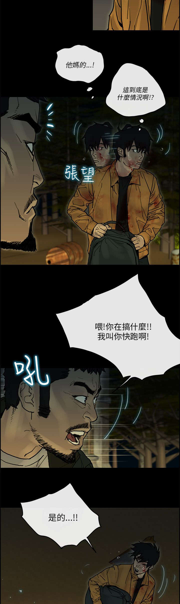 15.jpg