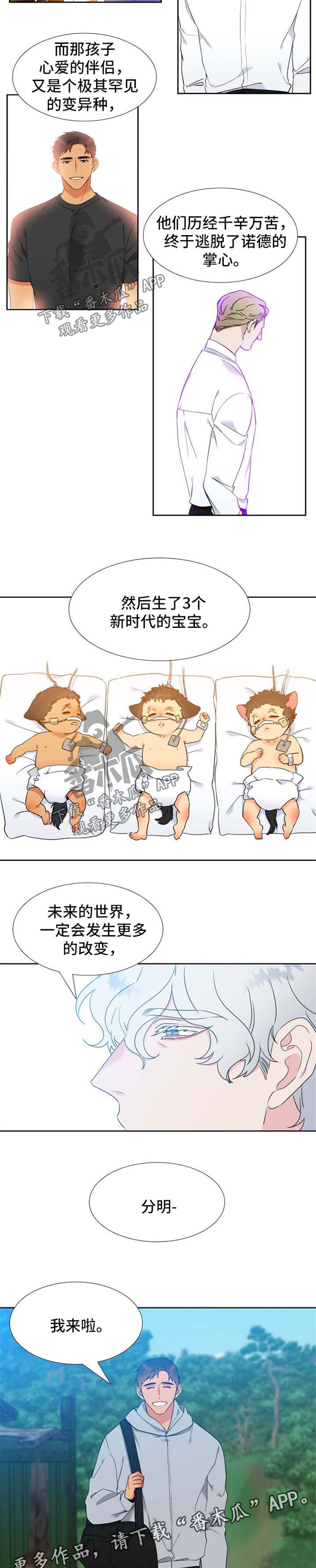 6.jpg