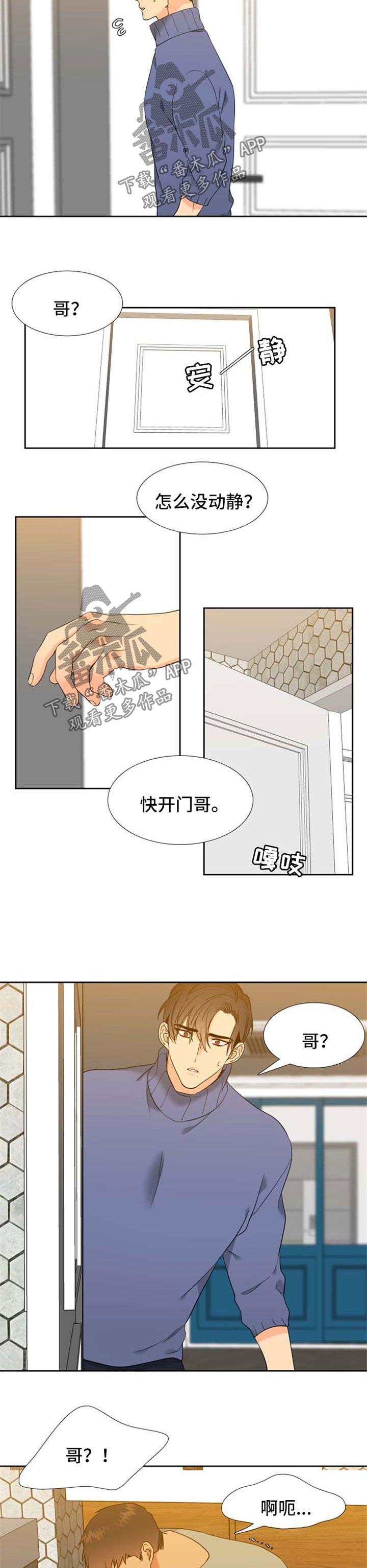 5.jpg
