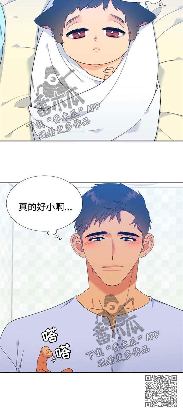 9.jpg