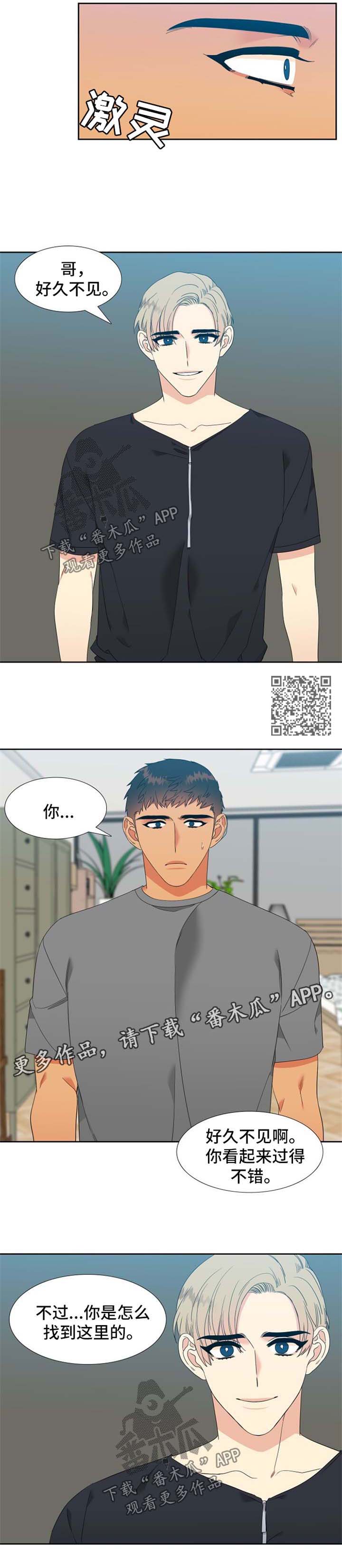 4.jpg