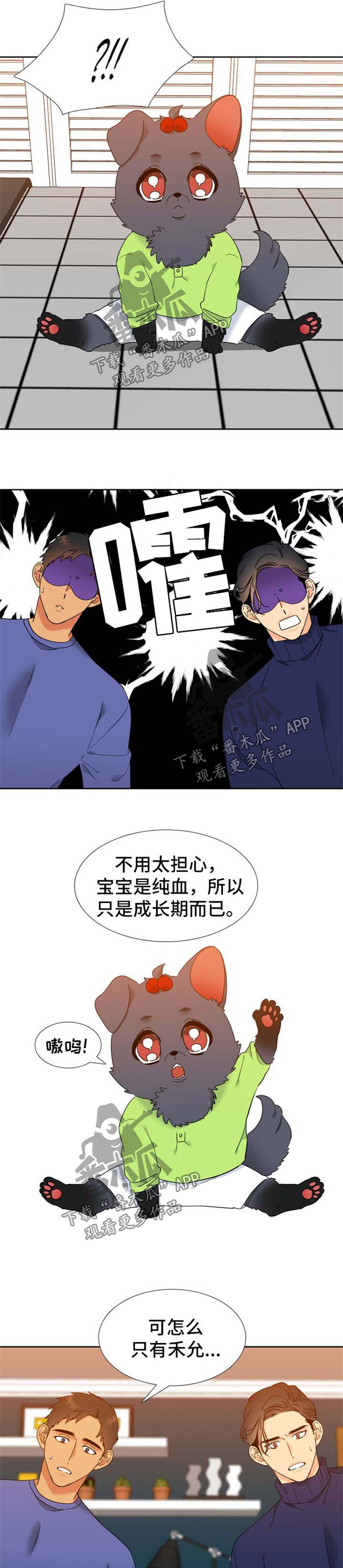 /template/pc/baozi/image/load.gif