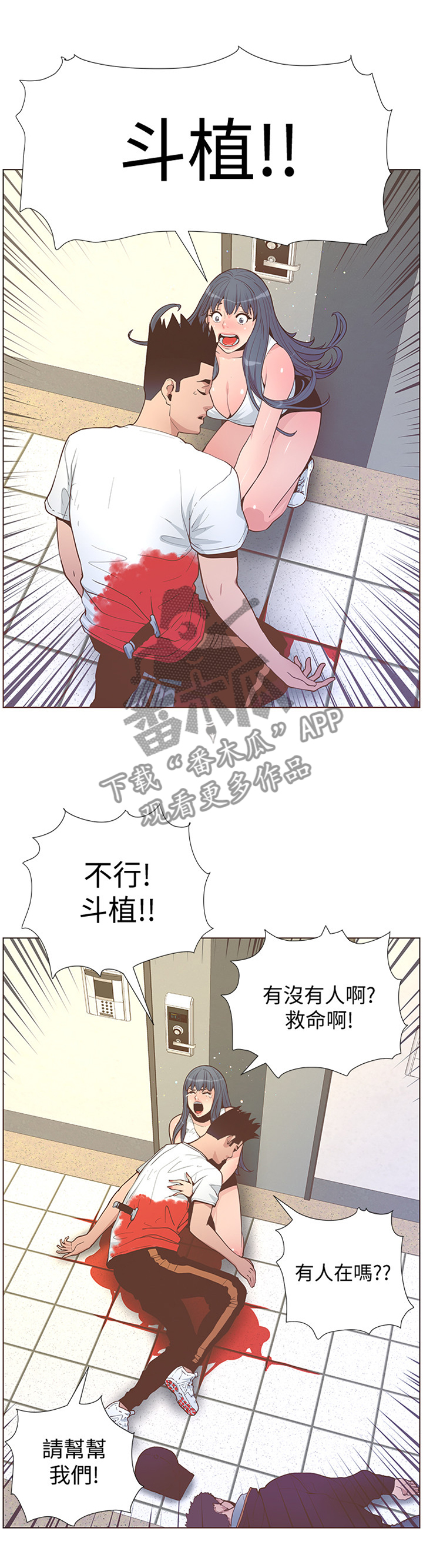 6