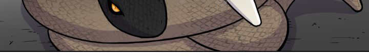 81