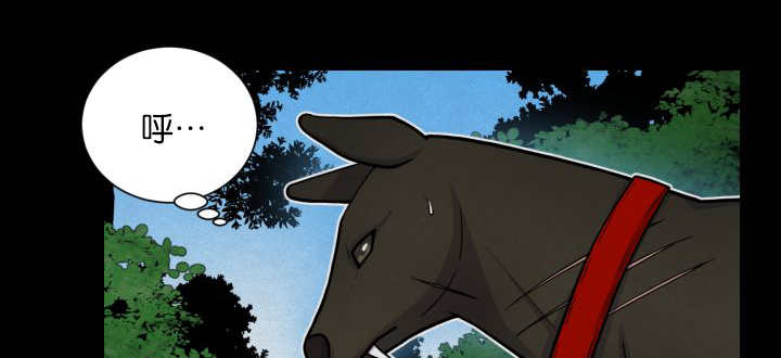 71