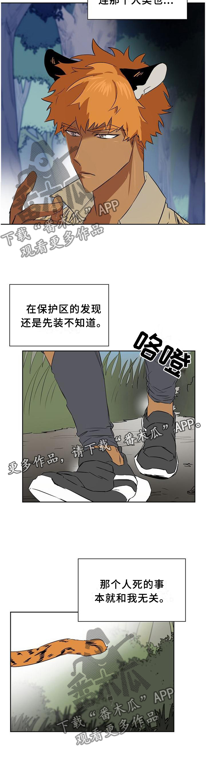 12.jpg