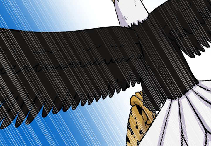 53