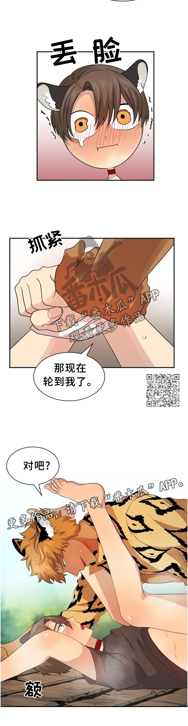 6.jpg