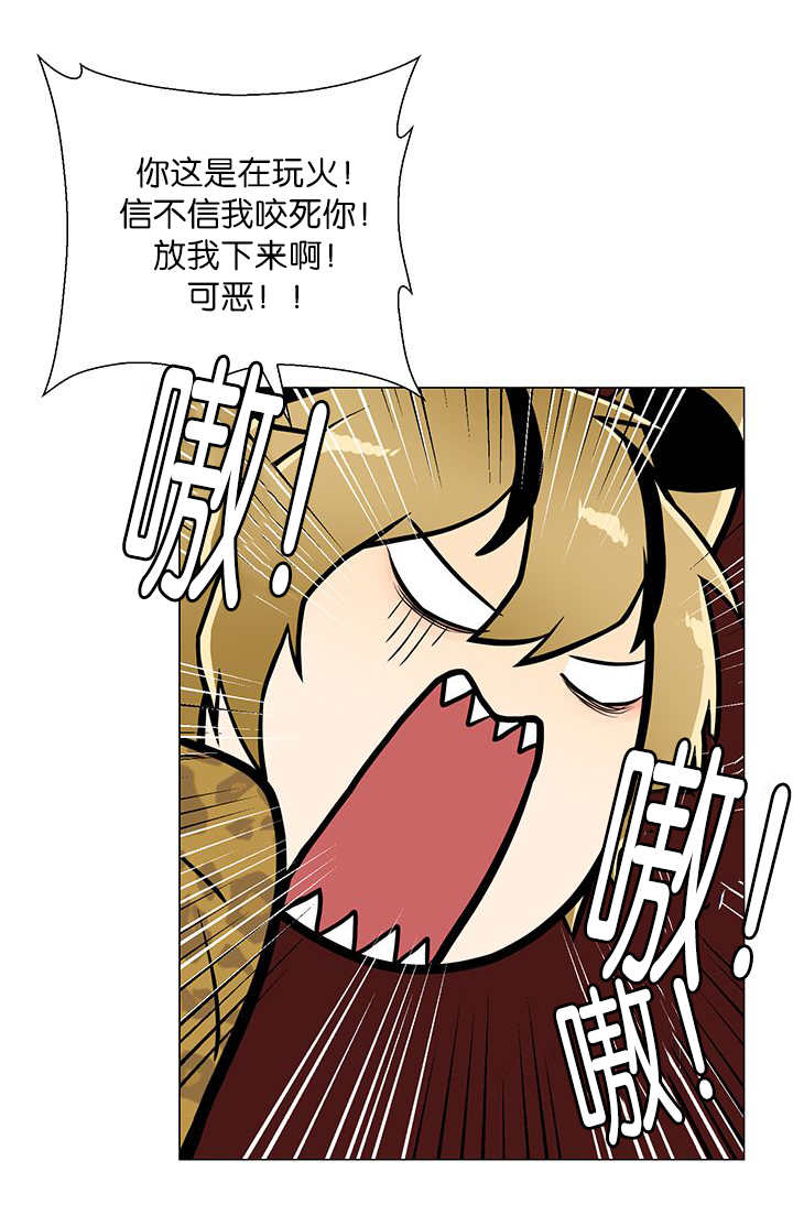 11.jpg