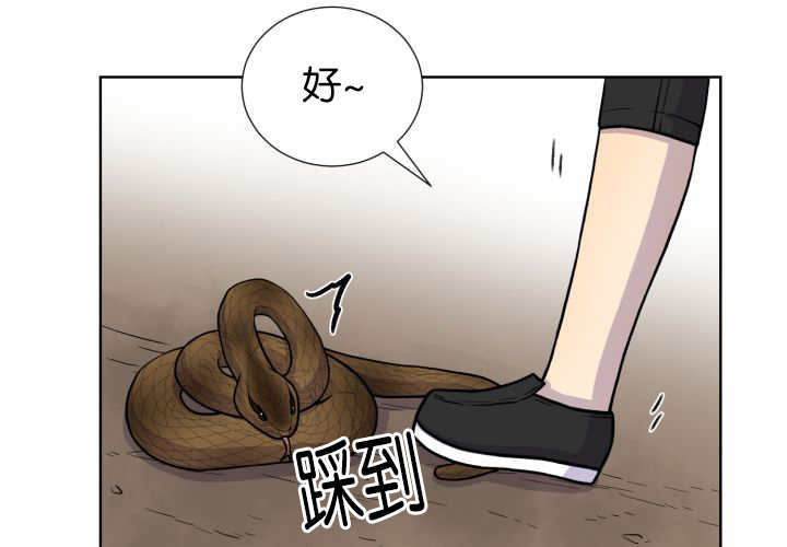 48