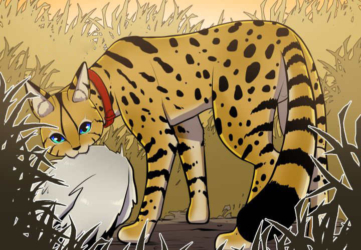 7
