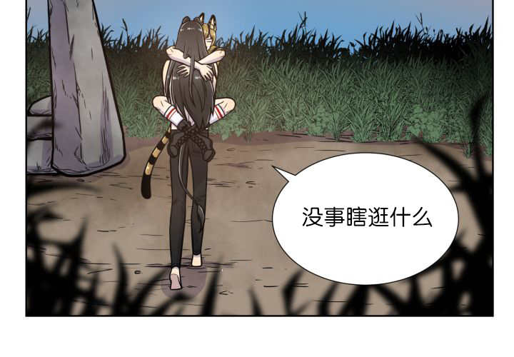 53