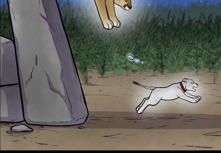 31