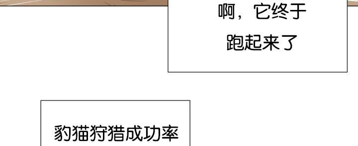 52.jpg