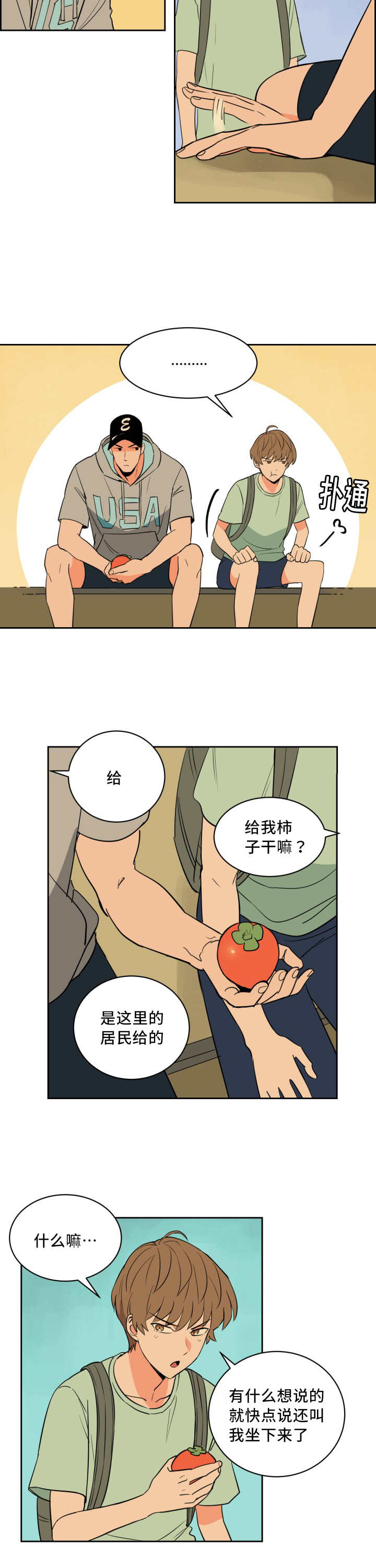 5.jpg