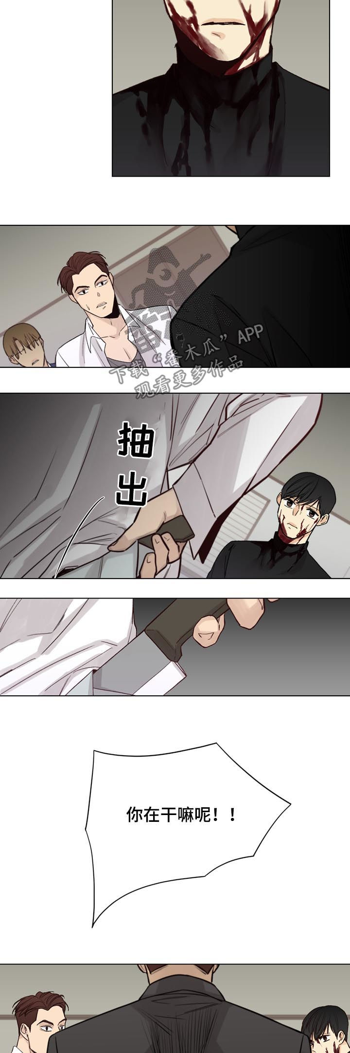 /template/pc/baozi/image/load.gif