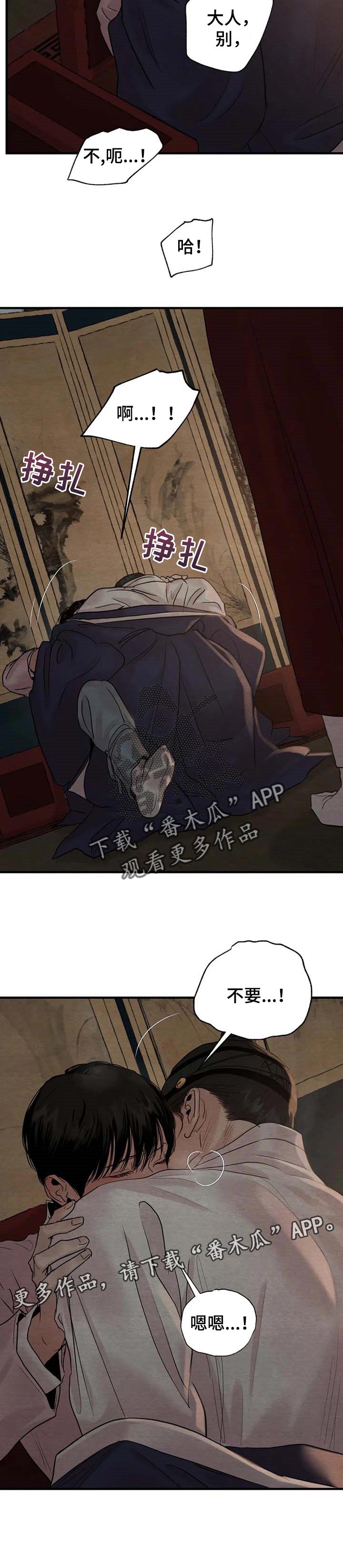 9.jpg