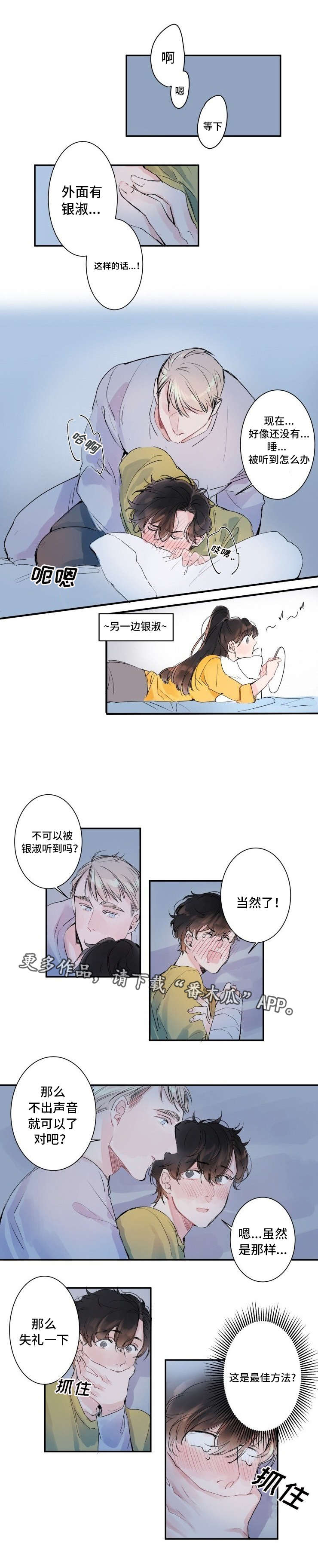 5.jpg