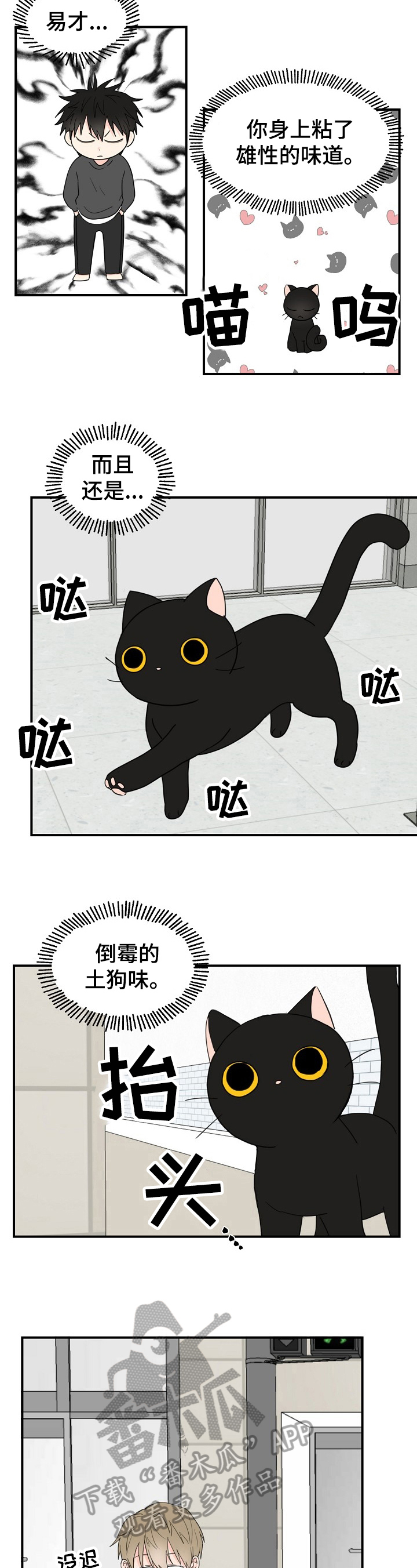 3.jpg