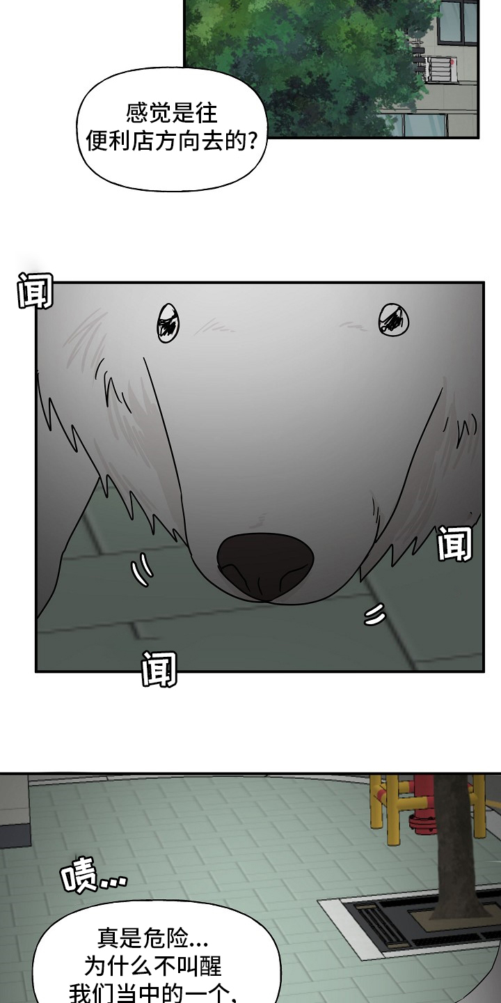 20.jpg