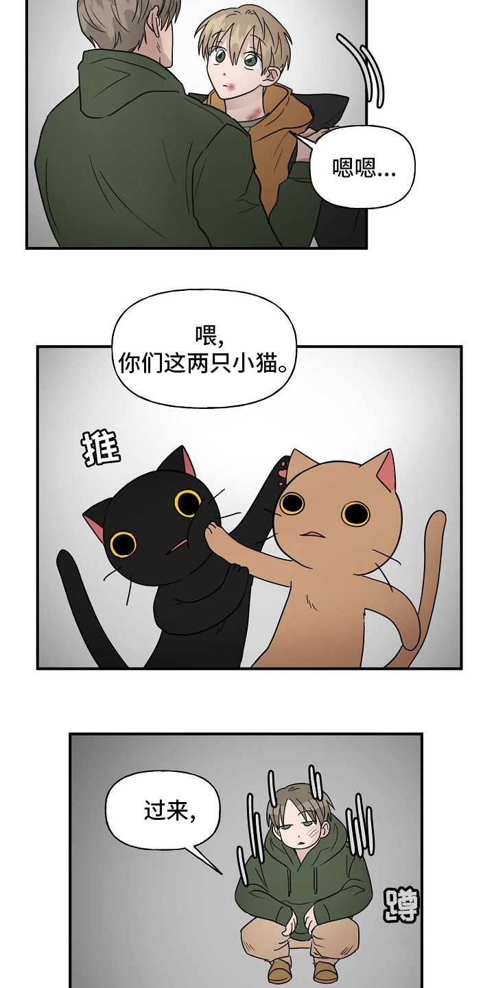 17.jpg