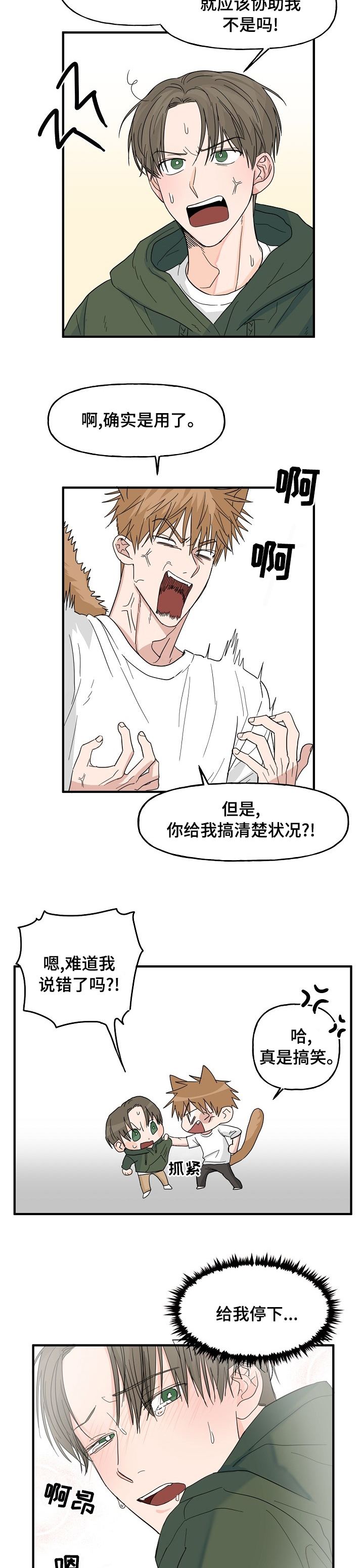 12.jpg