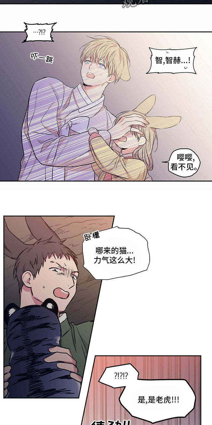 15.jpg