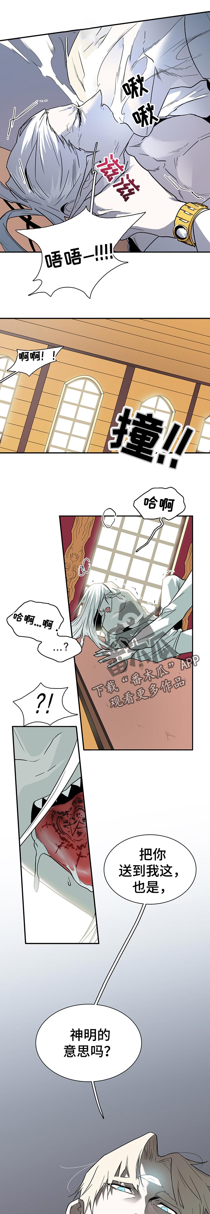 9.jpg