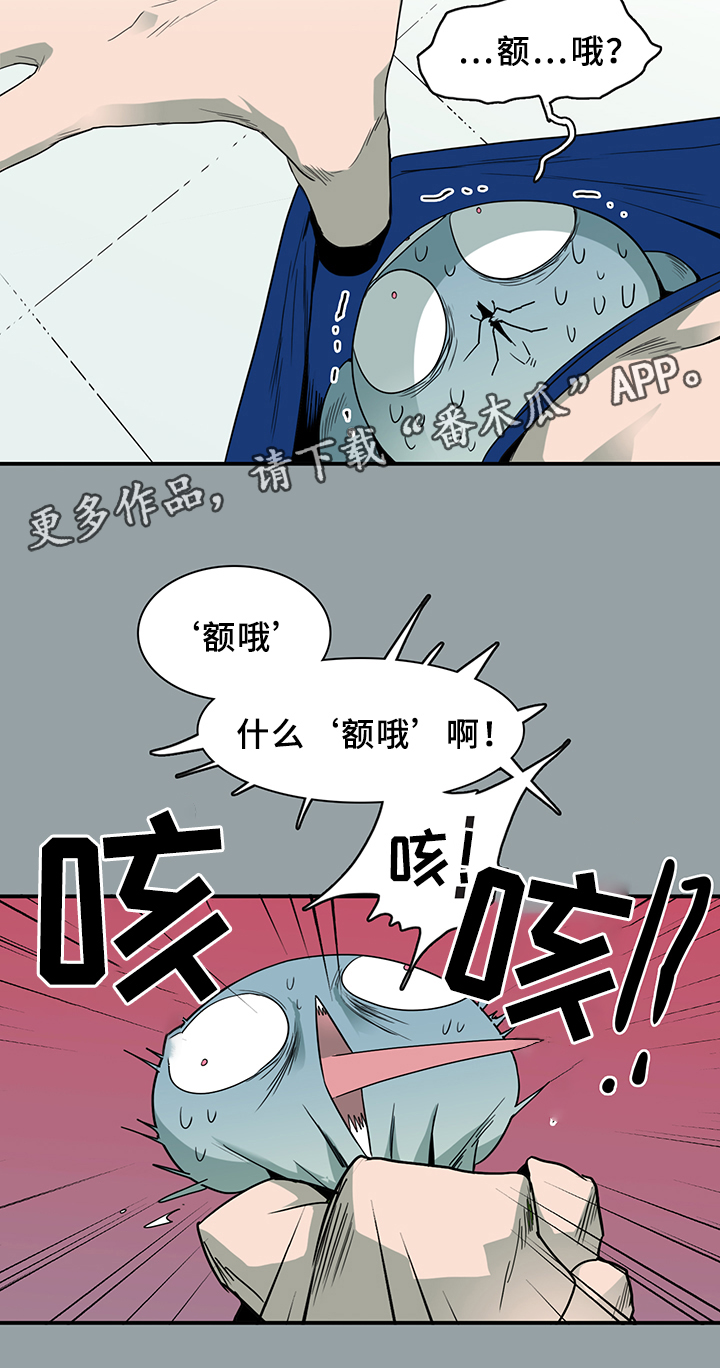 17.jpg