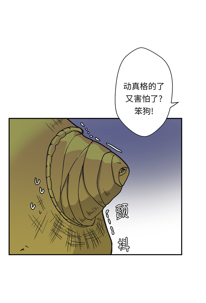25.jpg