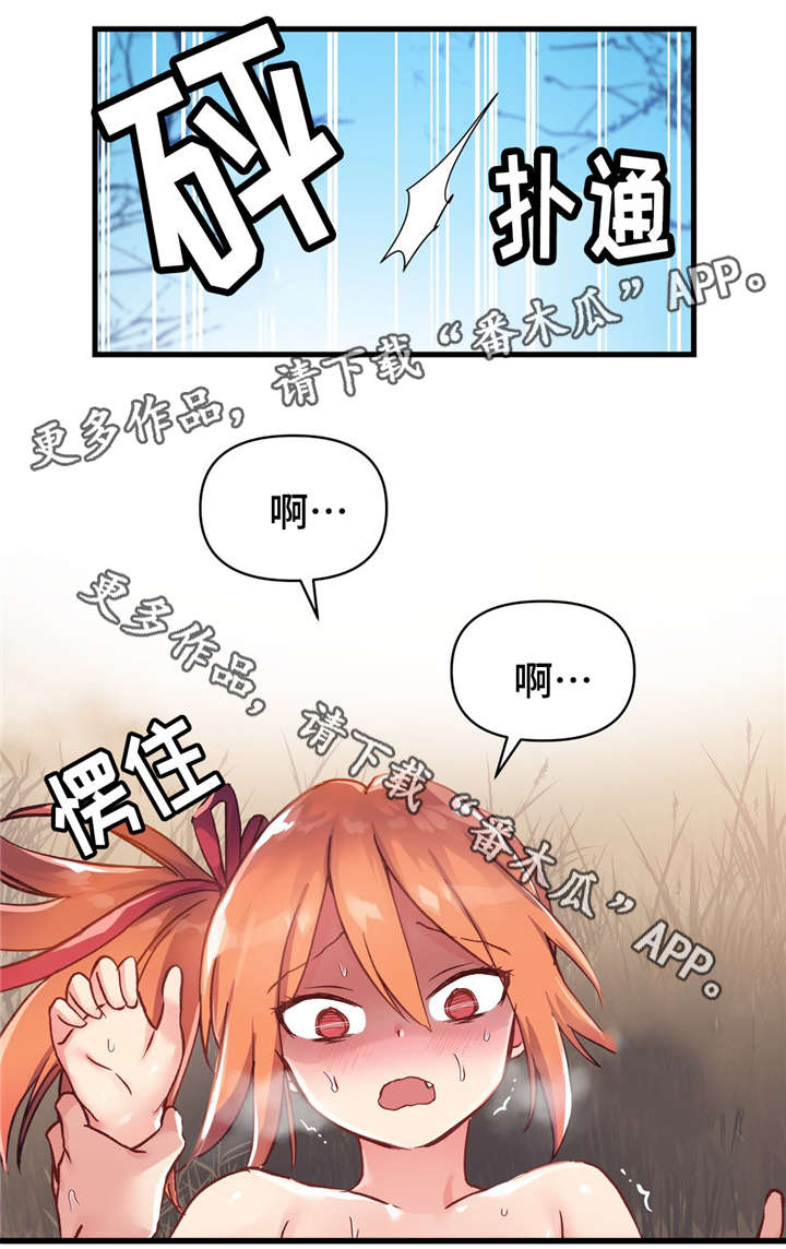 16.jpg