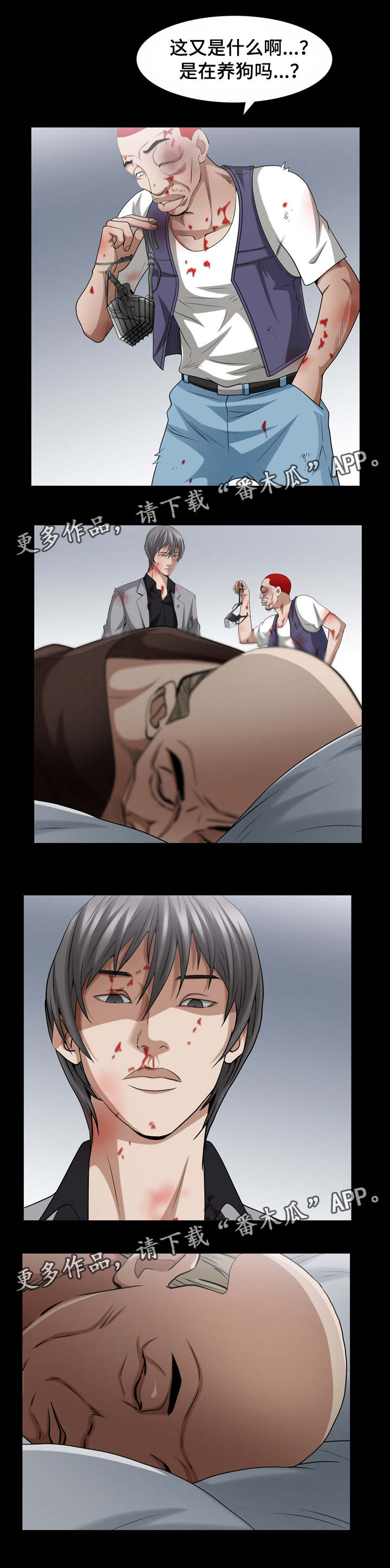 11.jpg