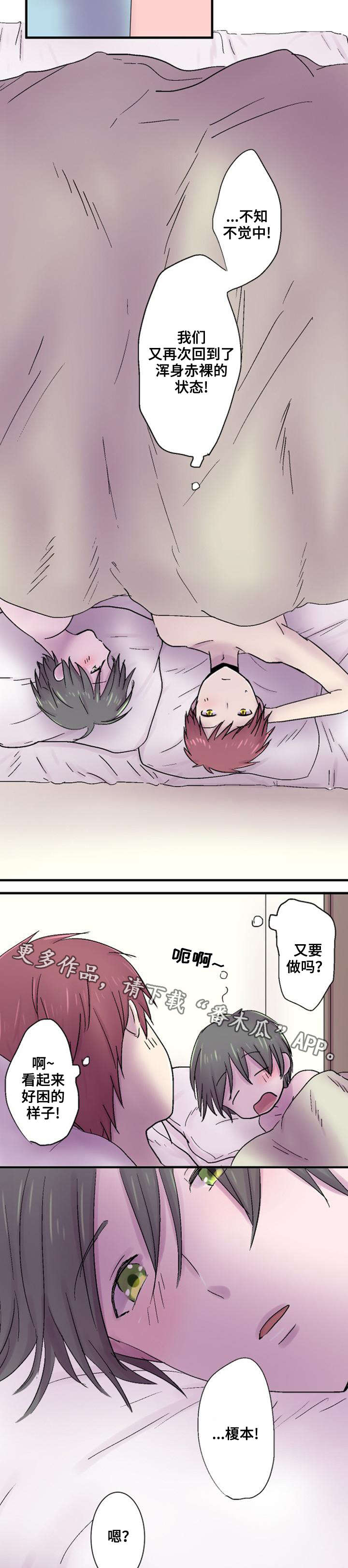 9.jpg
