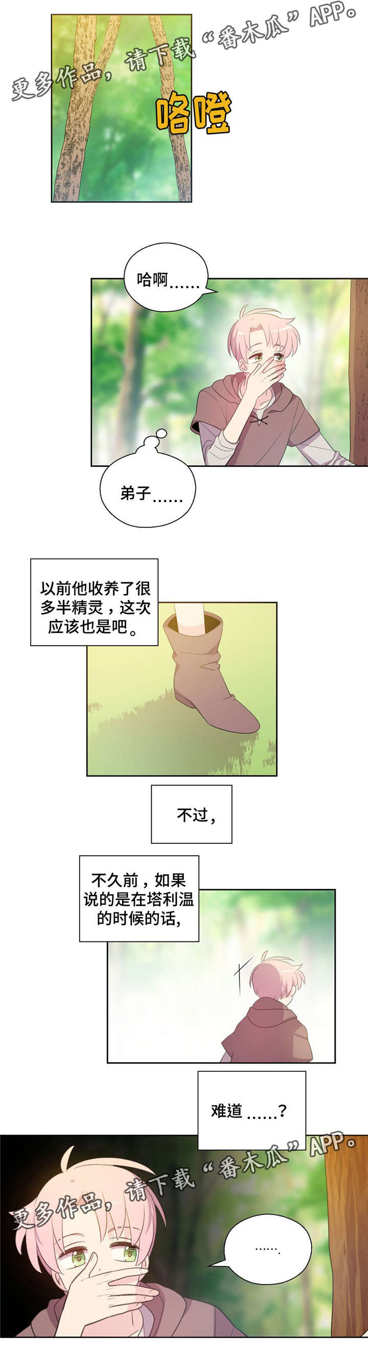 5.jpg