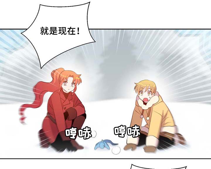 13.jpg