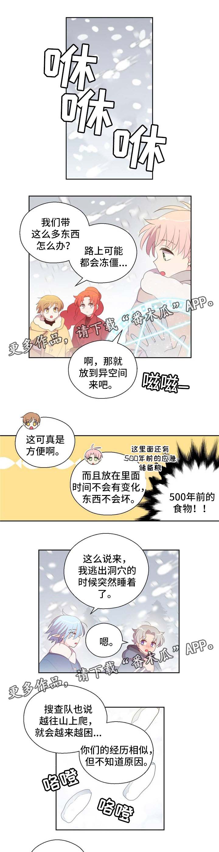 5.jpg