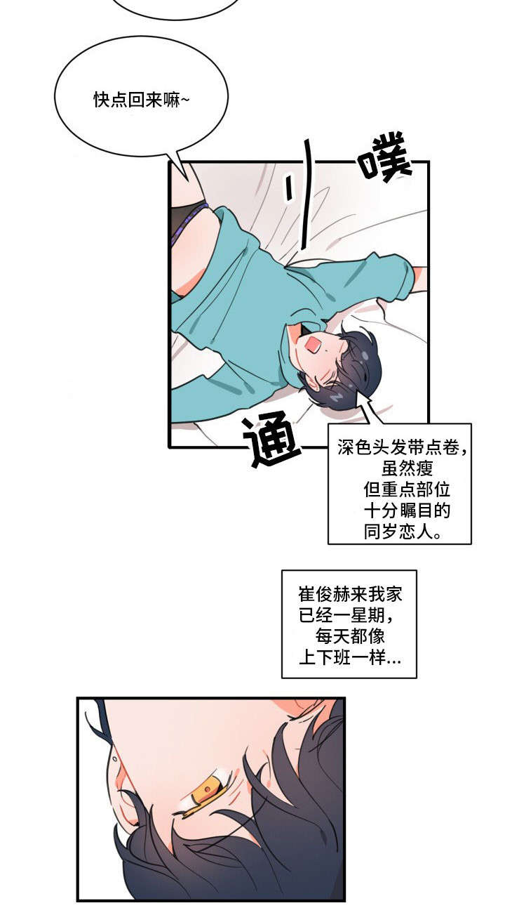 5.jpg