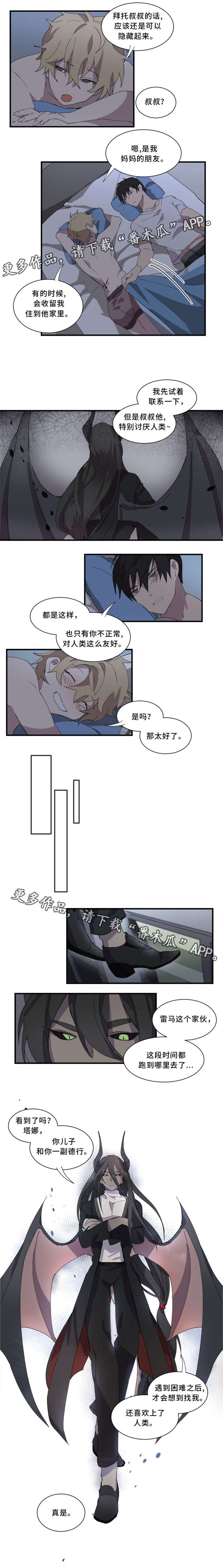 5.jpg