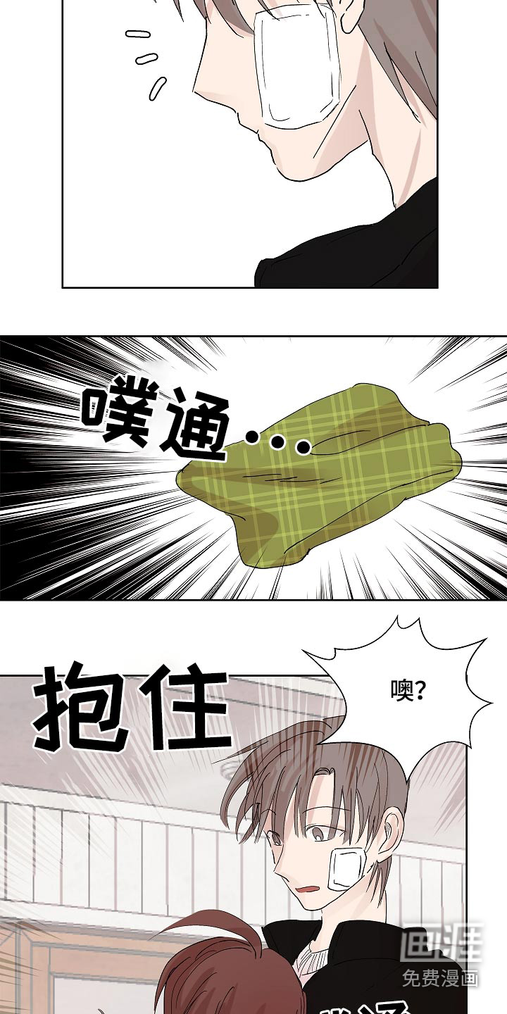 13.jpg