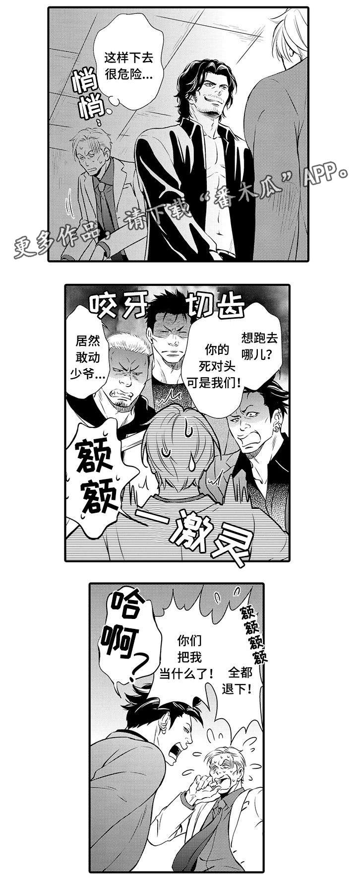 6.jpg