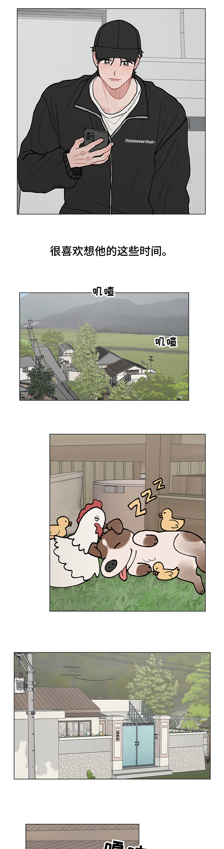 6.jpg