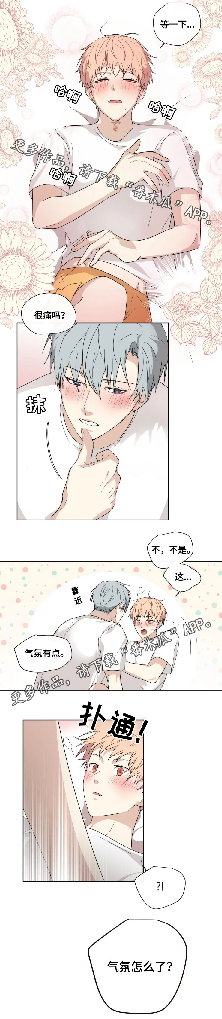 /template/pc/baozi/image/load.gif
