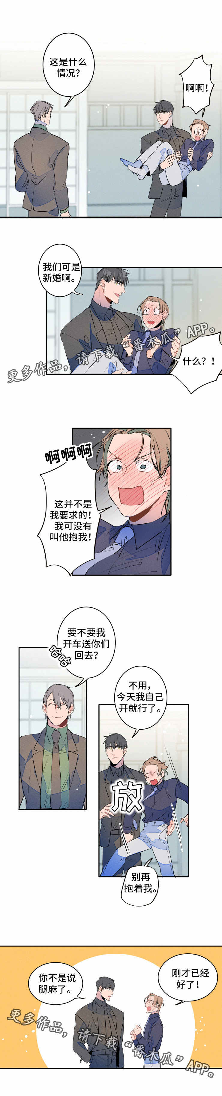 4.jpg