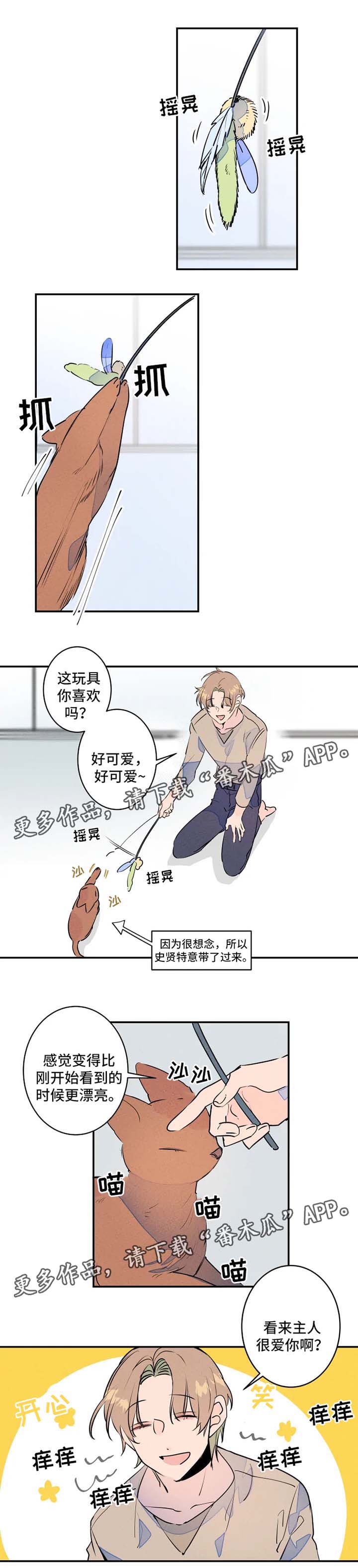 1.jpg