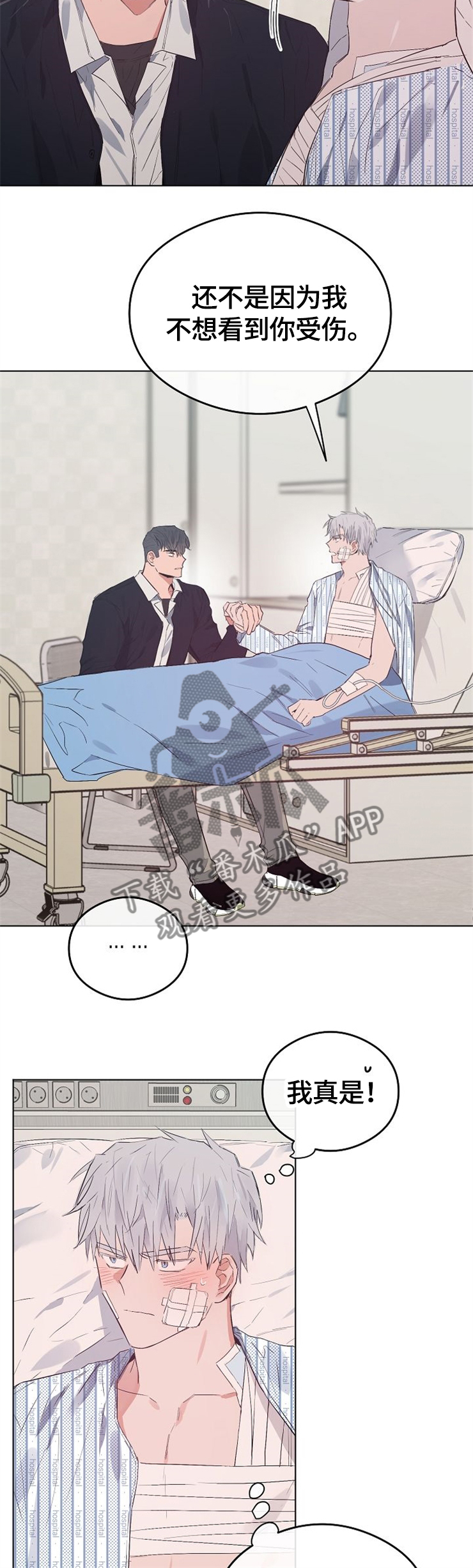 /template/pc/baozi/image/load.gif