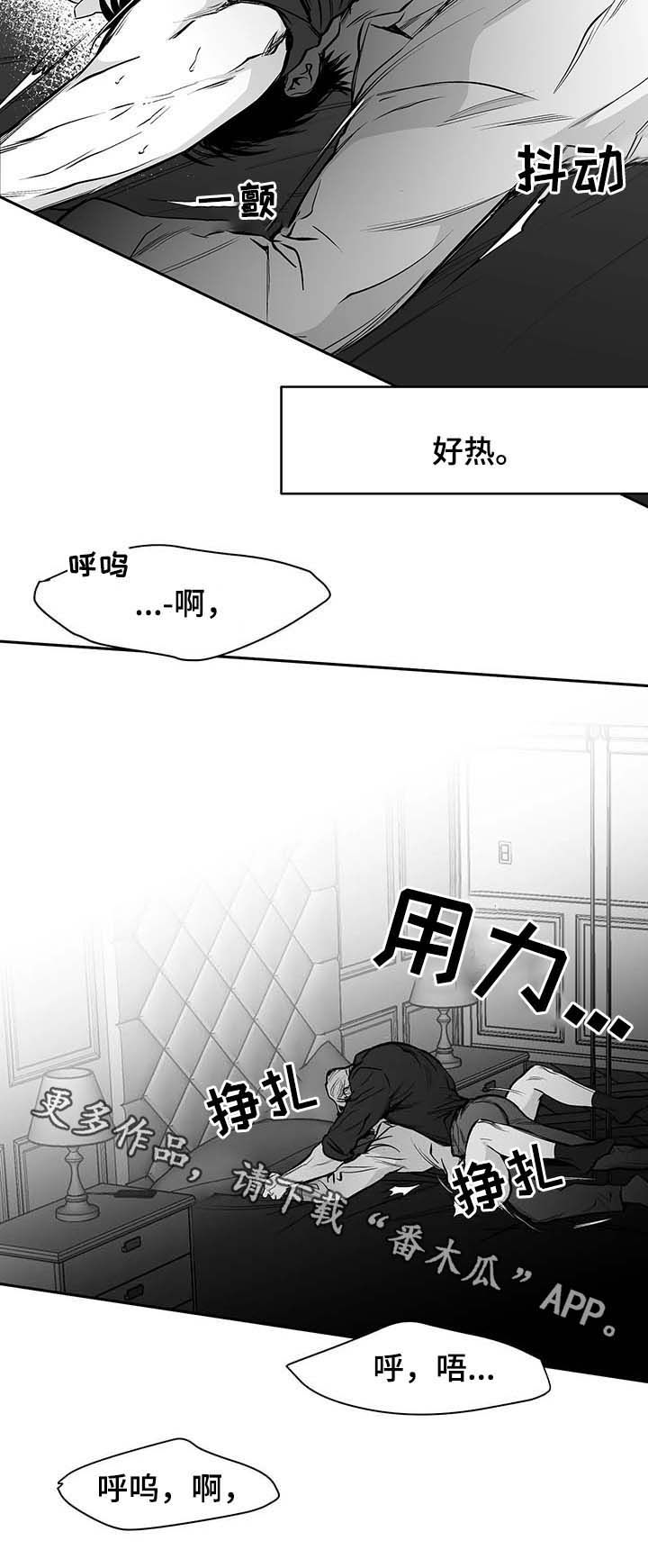 18.jpg
