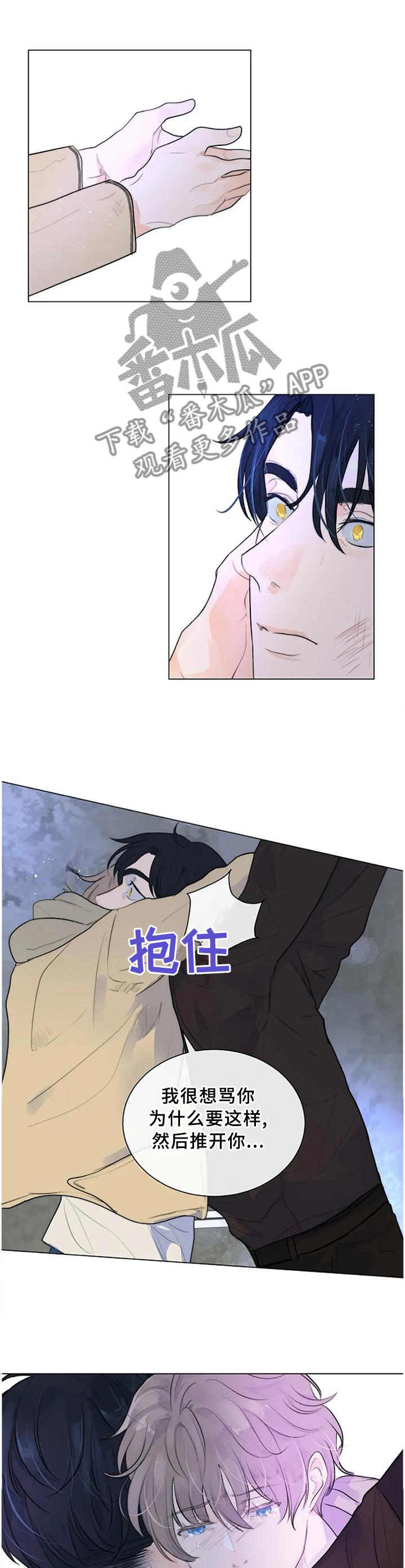 6.jpg