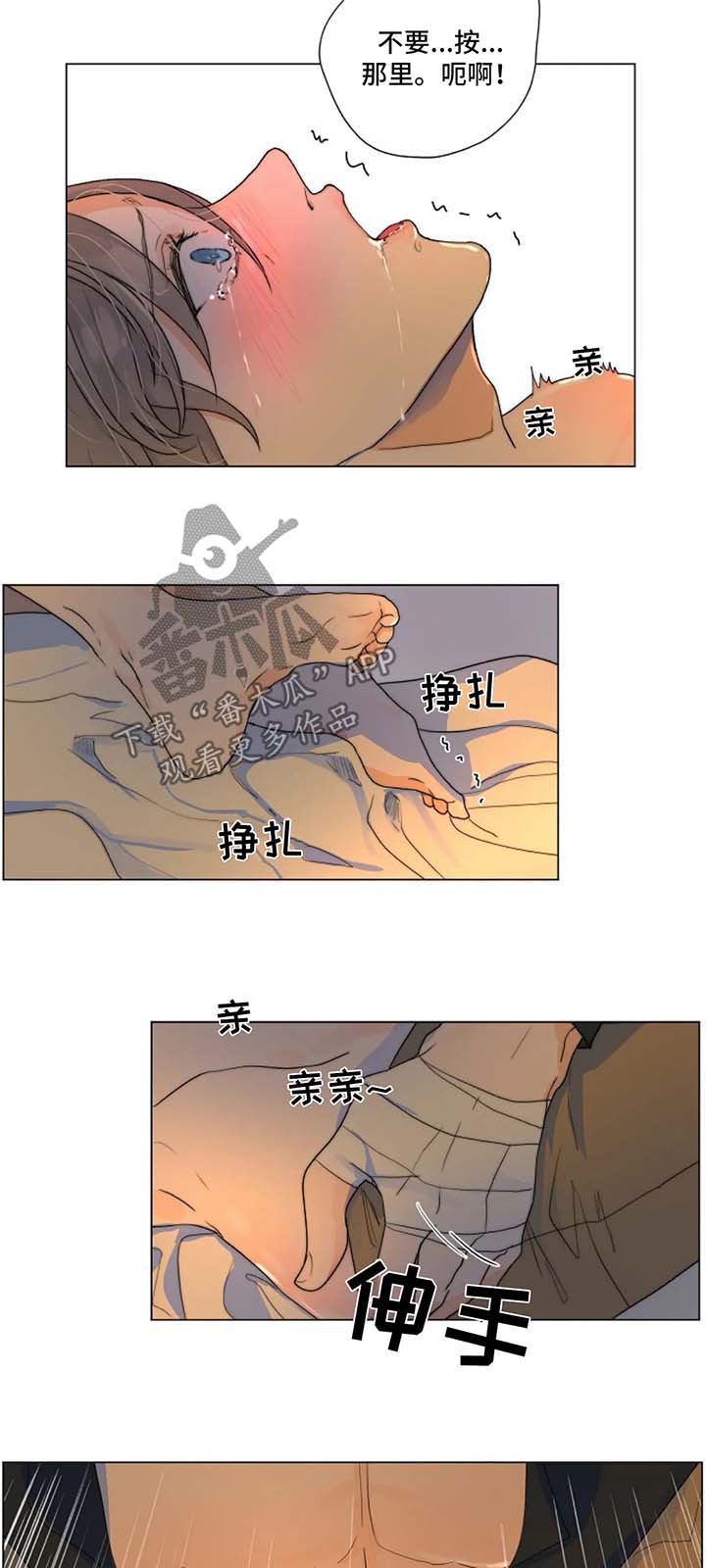 11.jpg
