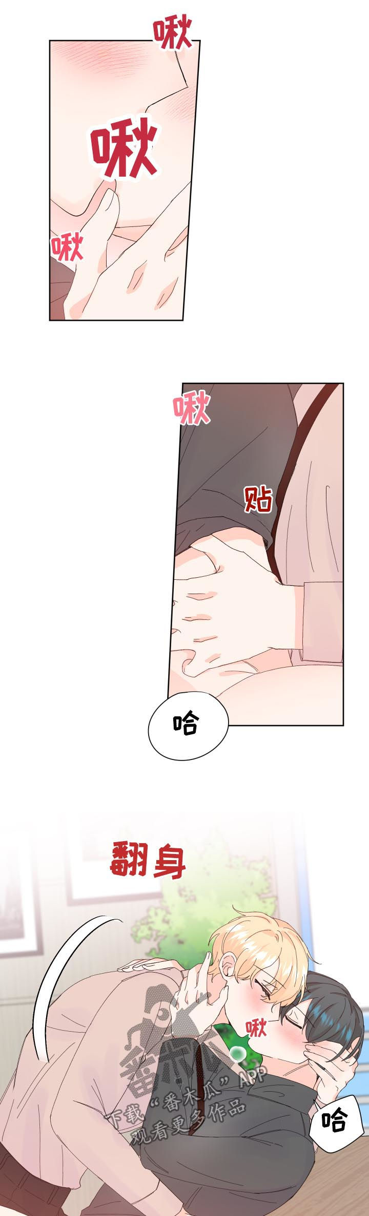 8.jpg