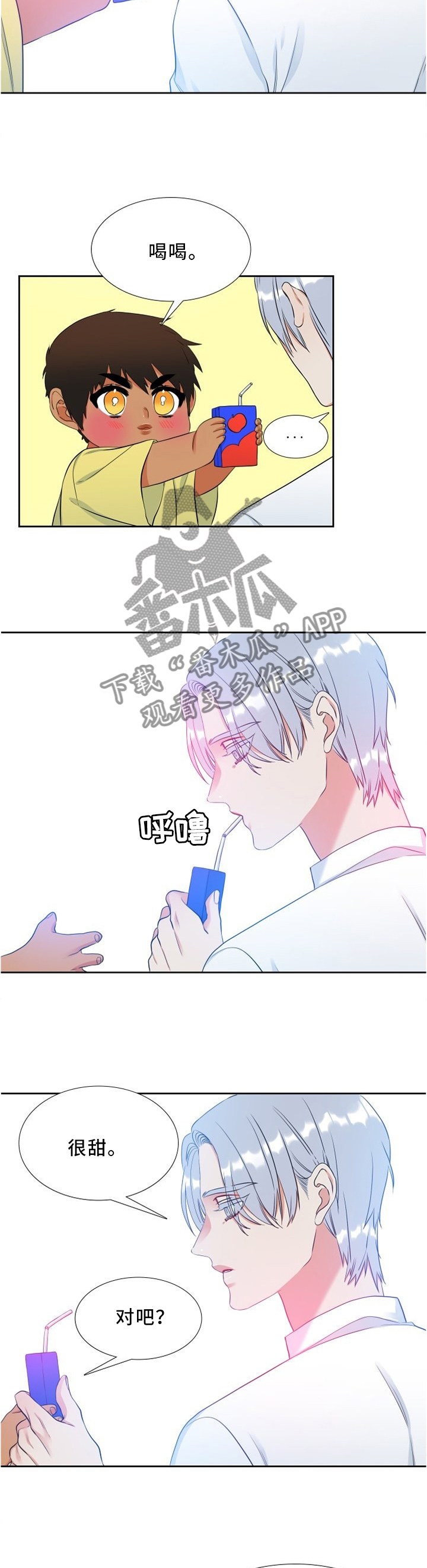 6.jpg